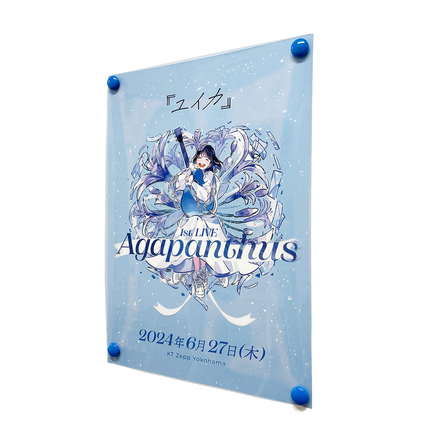 "Agapanthus" clear poster (A3 size)