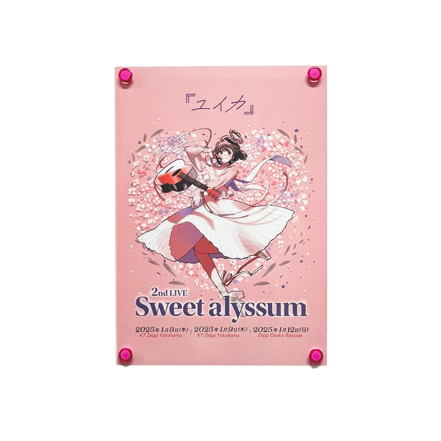 "Sweet alyssum" clear poster